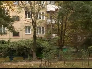 Амброзия в никополе