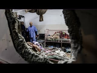 Génocide à gaza une pétition appelle macron à agir