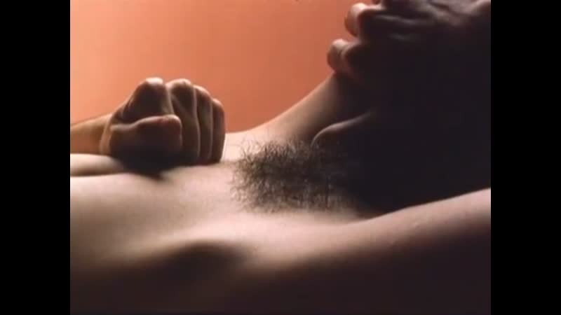 Марианна де мораес, жаклин оливье, амаилес де алмейда душа пирата / mariana de moraes, jackeline olivier, amazyles de alme