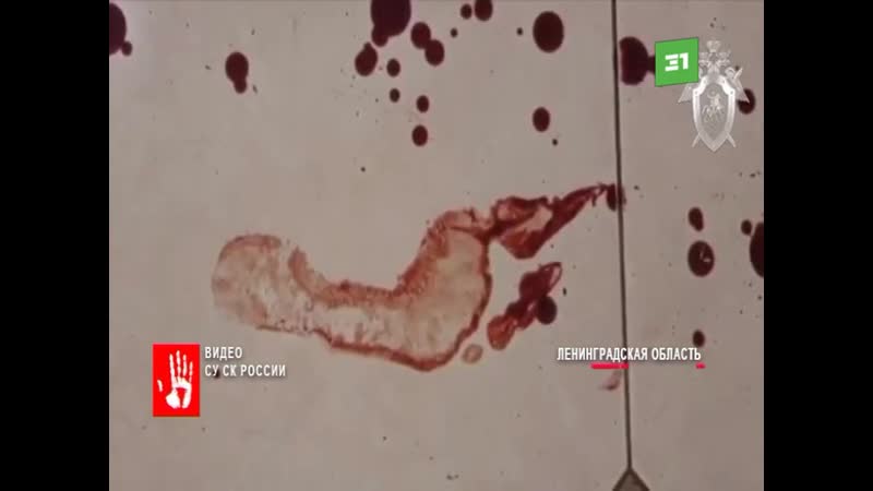 Молодые жены игрока трактора