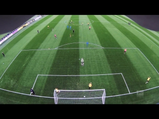 Super goal by raffael guerreiro