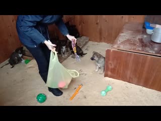 Video 20191103 140405 mp4