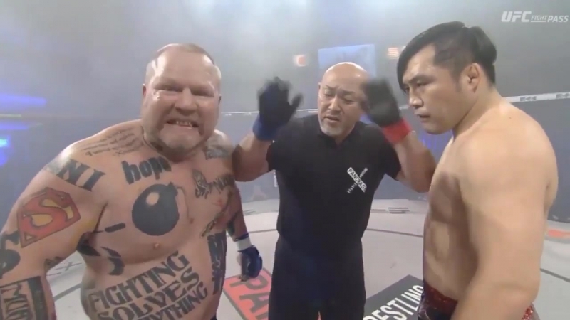 Свино арий vs азиат