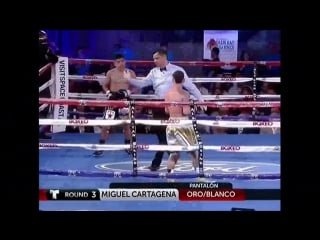 Miguel cartagena vs ricardo rodriguez undercard