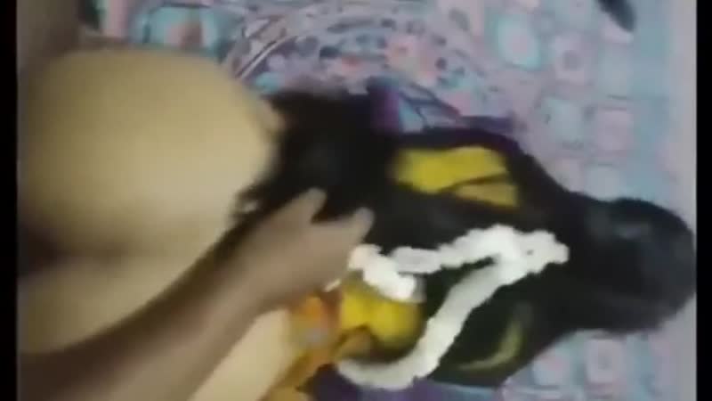 Куни зебои калон г ида шуд