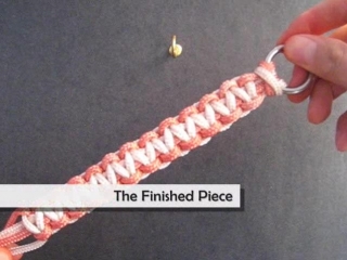 2 х цветный соломон бар