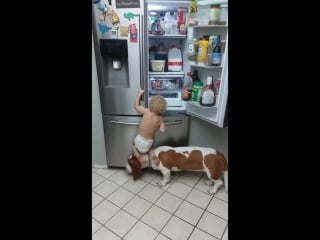 Adorable toddler and dog