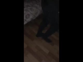 Казашку ебет переходите в телегу