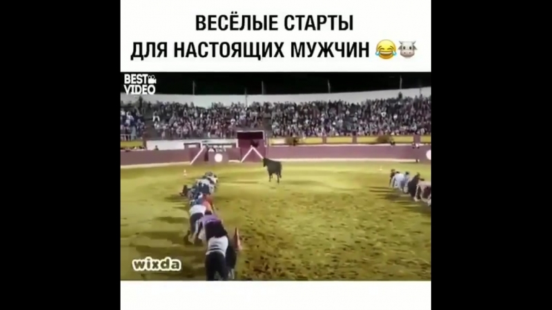 Скрытность превыше всего