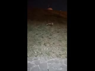 Hwvideoeditor 2020 10 01 004216 mp4