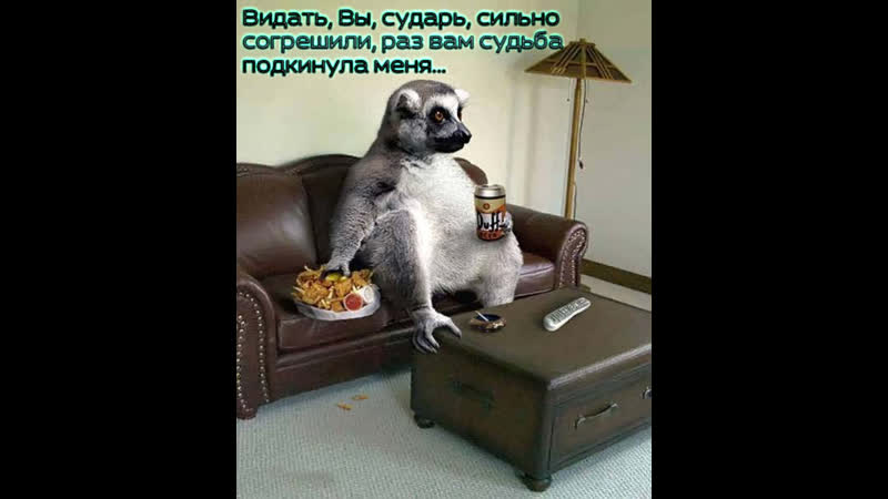 Сударь ◄╬₪✨😂✨★ пытаюсь быть милашкой ★✨🤣✨₪╬►