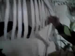 Опять санёк