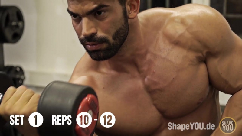 Sergi constance and alon gabbay triceps biceps workout #belegend