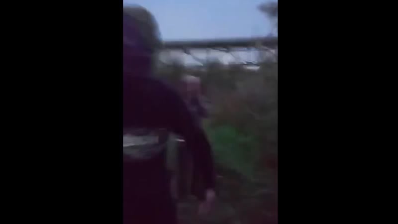 Закладчики