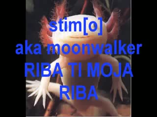 Notactic productions #2