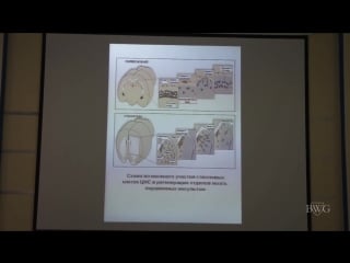Восстанавливается ли нервная ткань научный подход