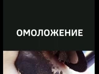 Видео от парфюмерия