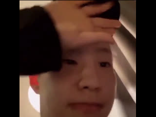 A tiring day for 🐯