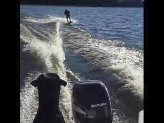 Wakeboarding with messi lifeguarding #dayoff