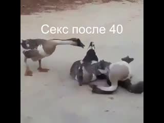 Секс после сорока лет