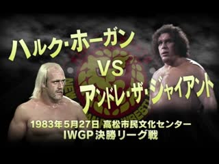 Hulk hogan vs andre the giant