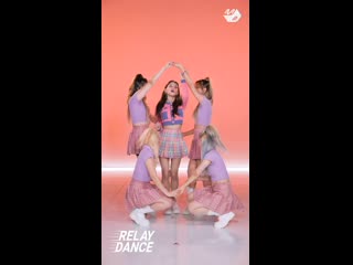 Natty (나띠) – teddy bear [relay dance]