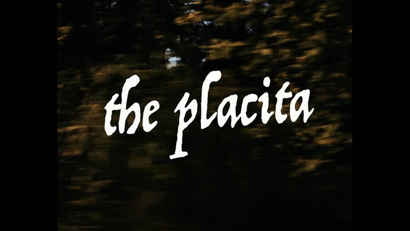 Призыв (2022) the placita