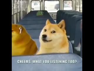 Haha funny doge