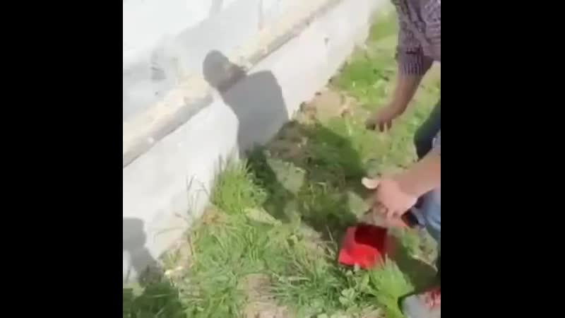 Шикарное приспособление