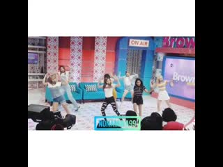 [fancam] 190322 z girls what you waiting for @brownis trans tv