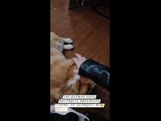 Tuchina arina 20201101 5 mp4