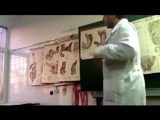 Ориентиры на поверхности тела брюшина печень желчный пузырь и протоки