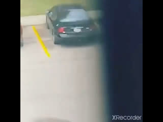 Страшнее бабы зверя нет