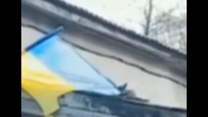 Белка рвёт флаг украины