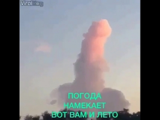 Природа тоже юморист