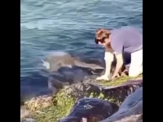 Спаси мою бедную малышку, пожалуйста