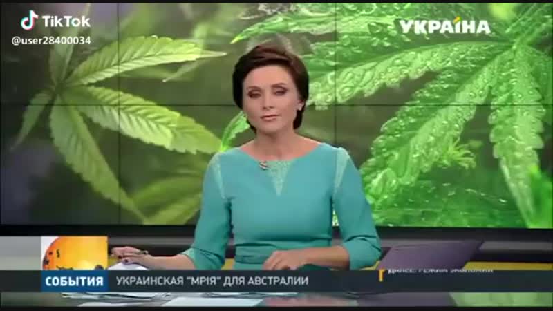 Все легально