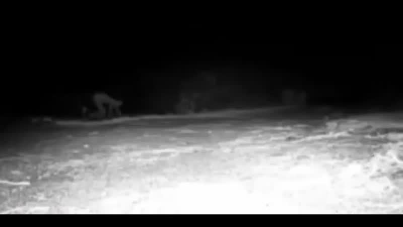 Позитивное видио