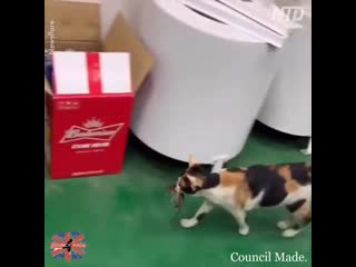 I did not expect that!