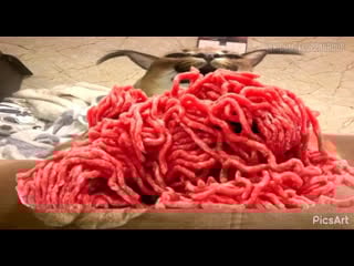 Floppa о dungeons master gachimuchi