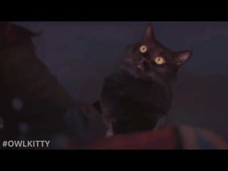 If baby yoda was a cat (mandalorian + owlkitty)