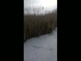 Особенности зимней рыбалки