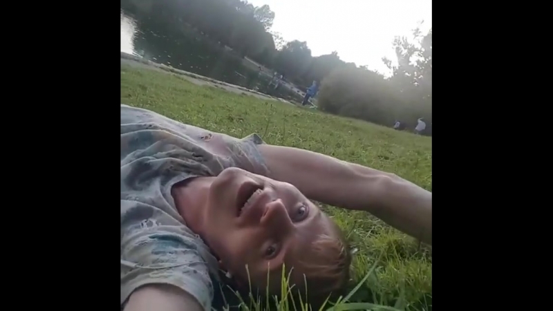 Грибной дождь