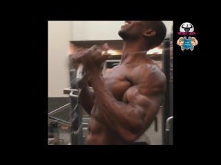 Gym and calisthenics workout monster! 2017 best of max the body philisaire
