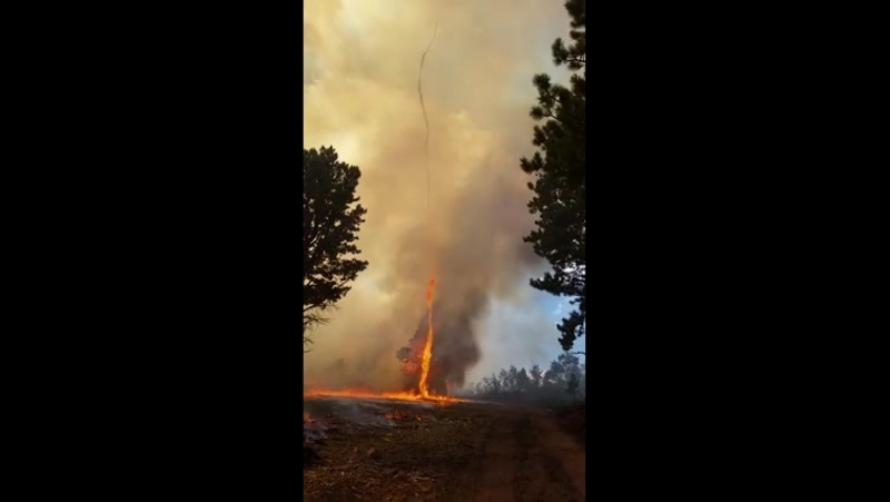 Огненный торнадо во время лесного пожара