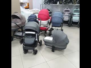 Обзор rant flex 2 в 1 ту ту коляски