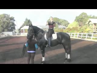 The ultimate balance test (walk, trot and canter seat) your riding success mp4