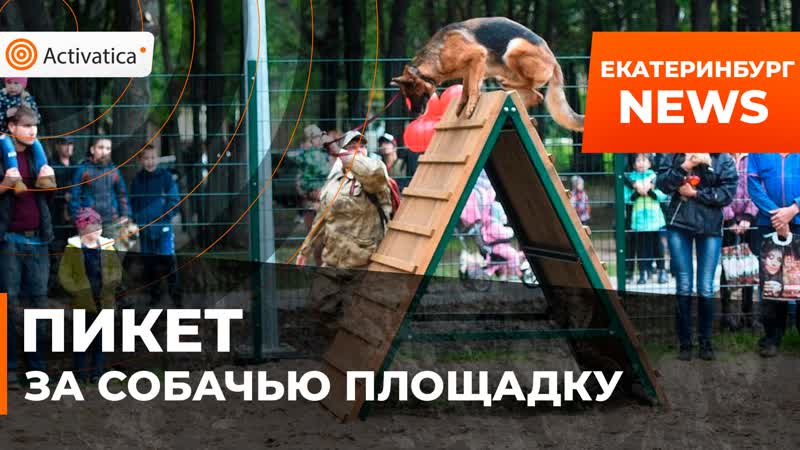 Требуют porn video – Жители екатеринбурга требуют строительства площадки для молодые