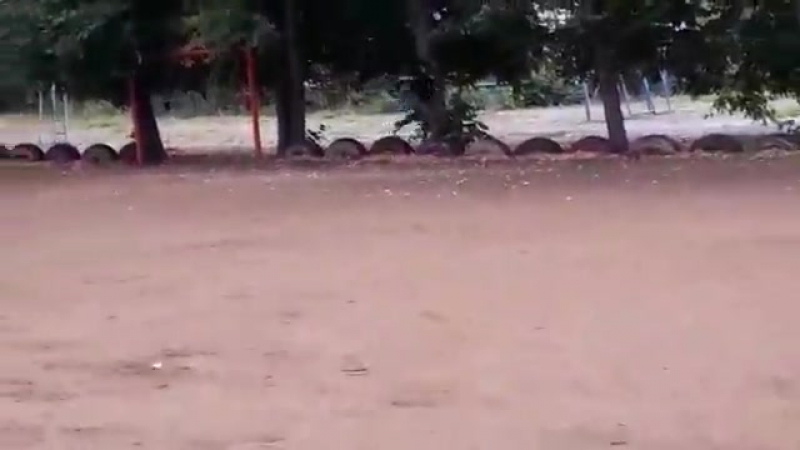 Толя терминатор! толик еболик не боится боли!