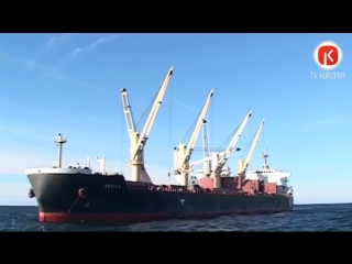 The first grain transshipment at sea mv arvika